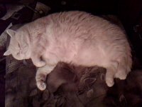 IMG0365A.jpg