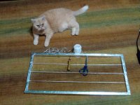 IMG_20170702_191722.jpg