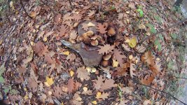 DSC04298.JPG