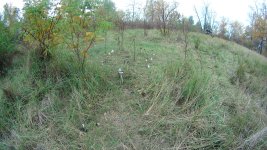 DSC04312.JPG
