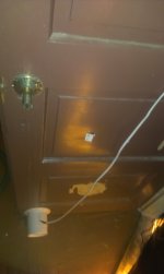IMAG0321.jpg