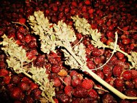 SAM_6902.JPG