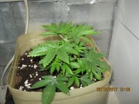 IMG_1111.JPG