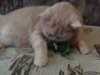 IMG0149A.jpg