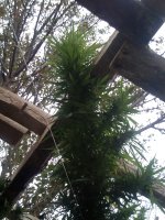 IMG_20171021_171428.jpg