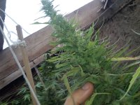 IMG_20171021_171515.jpg