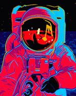 tumblr_n0qo01dvXz1t4kgqto1_250.gif