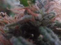 20171023_140139.jpg