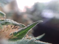 20171024_110435.jpg