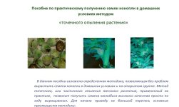 2017-10-24_11-55-46.jpg