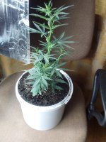 2017-07-20 10-15-56.JPG