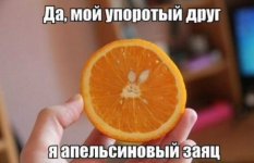 189544993.p.800.800.0.jpg