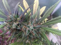 photo_2017-10-24_17-38-50 (2).jpg