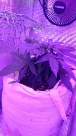 IMG-20171024-WA0004.jpg