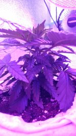 IMG-20171024-WA0003.jpg