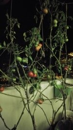 IMG-20171024-WA0006.jpg