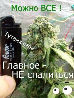 Можно ВСЕ.jpg