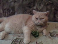 IMG0148A.jpg