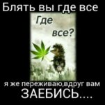 image (9).jpg