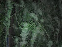 IMG_20171027_214509.jpg
