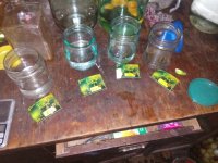 IMG_20171022_090953.jpg