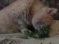 IMG0151A.jpg