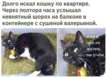 еку.jpg