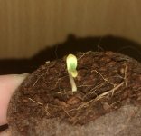 IMG_20171030_212800.jpg