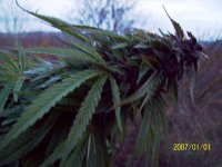 101_2101.JPG