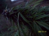101_2100.JPG
