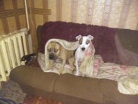 IMG_20171011_211017[1].jpg