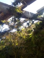 IMG_20171102_095728.jpg