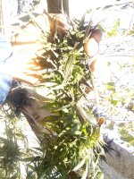 IMG_20171102_095838.jpg