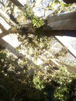 IMG_20171102_095848.jpg