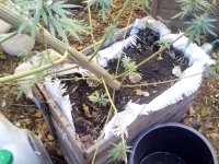 IMG_20171102_100116.jpg