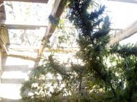IMG_20171102_100253.jpg