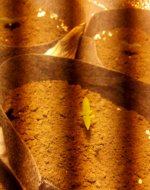 IMG_20171103_211423.jpg