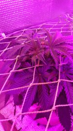 IMG-20171105-WA0013.jpg