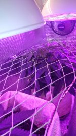 IMG-20171105-WA0001.jpg