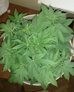 IMG_20171106_134028.jpg