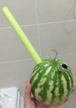 23651931458_5f6d8a6eb1_o.jpg