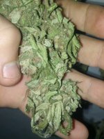 IMG_20171104_153807.jpg