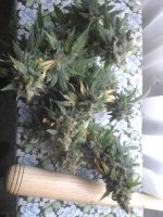 20171109_121857.jpg