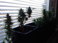 20171114_084633.jpg
