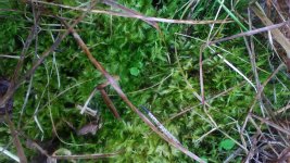 P_20171111_121802.jpg P_20171111_121802.jpg