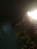 IMG_20171116_152834.jpg