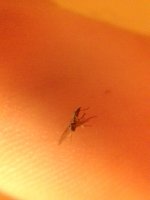 20171116_234838.jpg