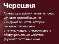 imageВП.jpg