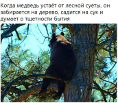 длорпав.png