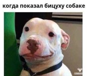 тимсч.jpg